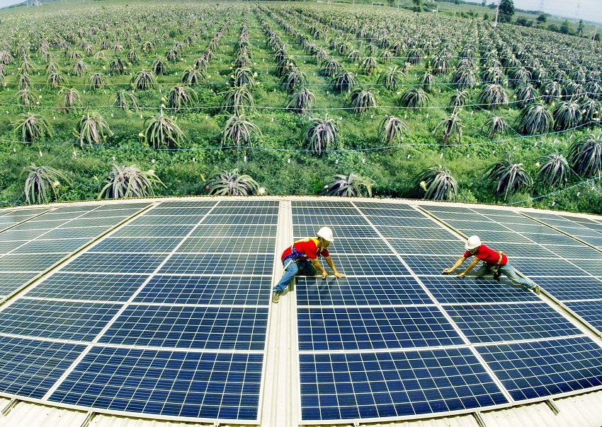 Hệ thống điện mặt trời áp mái tại một trang trại ở Bình Thuận | Ảnh: Moitruong.net