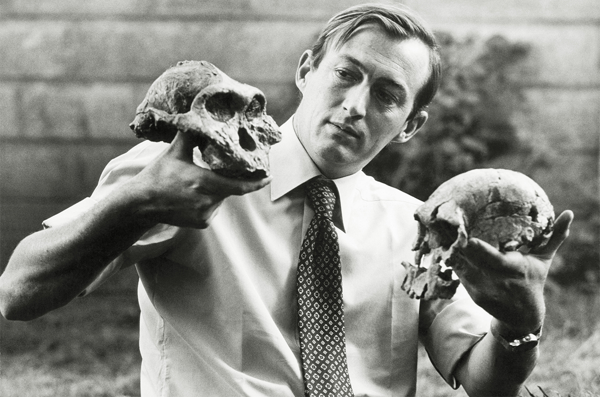 Richard Leakey vào năm 1977, cầm trên tay hai hộp sọ quan trọng mà nhóm của ông tìm thấy: Australopithecus boisei ở bên phải và hộp sọ của Homo rudolfensis ở bên trái.