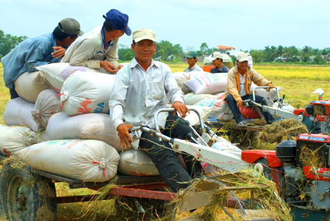 Ngành nông nghiệp là một khu vực tiềm năng cho việc áp dụng khoa học công nghệ | Ảnh: Lê Hoàng Vũ/Báo Nông nghiệp Việt Nam