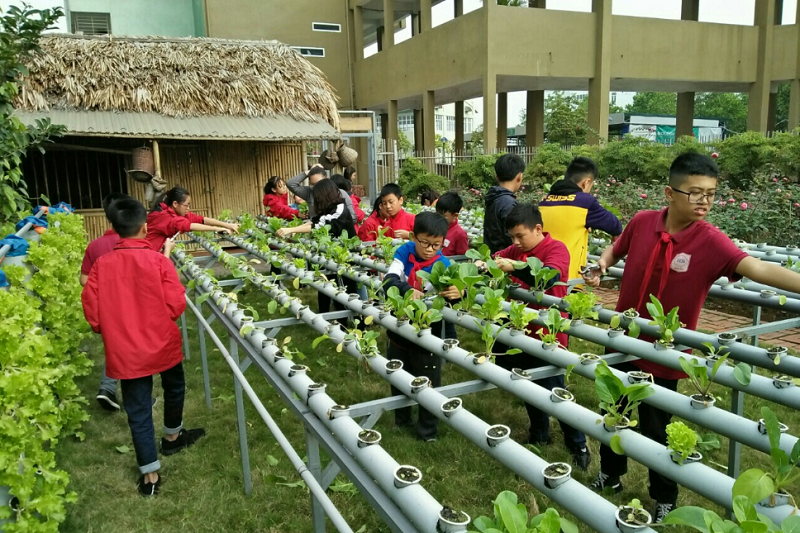Mô hình stem nông nghiệp "Sự sinh trưởng và phát triển của thực vật" tại Trường Tiểu học, THCS và THPT Đoàn Thị Điểm, TP Hạ Long. Nguồn: ngayhoistem.org