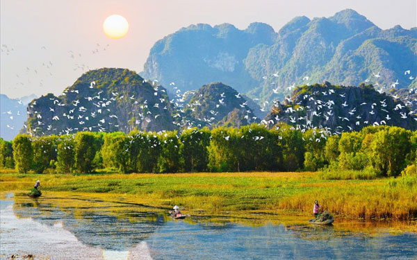 Vùng đất ngập nước Bàu Sấu còn có tác dụng điều tiết nguồn nước cho Hồ thuỷ điện Trị An, giữ các chất lắng đọng, chất độc và cung cấp nguồn nước cho hơn 15 triệu người dân sinh sống và sản xuất nông nghiệp, thủy sản dọc lưu vực sông Đồng Nai.
