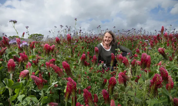 Regenerative farmer Marina O'Connell says the rise in the cost of nitrogen fertilisers has made farmers respond to the urgency of climate change. Photograph: Karen Robinson/The Observer