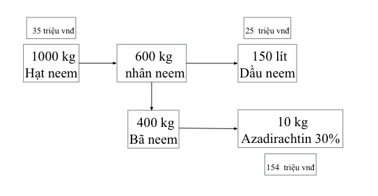 21 Quy trình sản xuất dầu neem chứa hoạt chất azadirachtin hàm lượng cao mới nhất 2