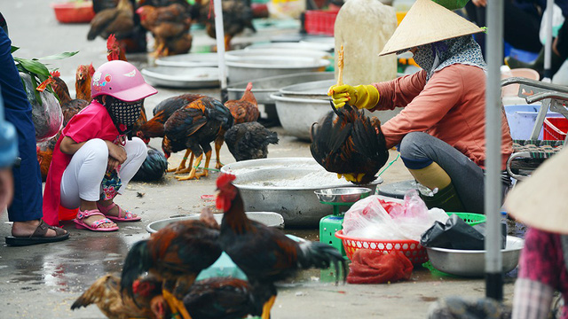 Giết mổ gà bán tại chợ Thị Nghè, Q.Bình Thạnh, TP.HCM - (Ảnh: Quang Định)