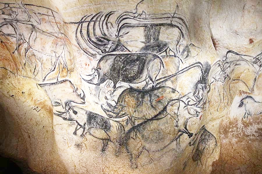Những hình vẽ bằng than của người Aurignacia trong hang Chauvet ở Pháp. Ảnh: Claude Valette.