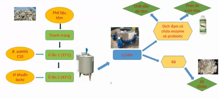 21 Xử lý phụ phẩm chế biến tôm bằng phương pháp vi sinh vật mới nhất 2
