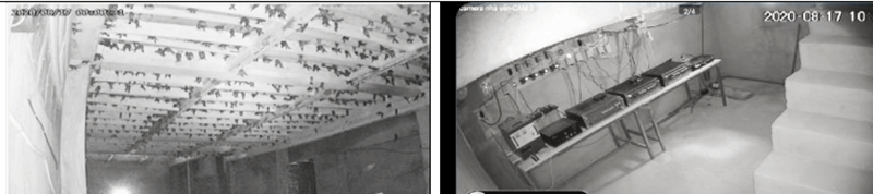 Hình chụp từ camera gắn trong nhà yến quản lý chim ra vào và hệ thống thiết bị nhà yến tại xã Tam Thôn Hiệp, huyện Cần Giờ