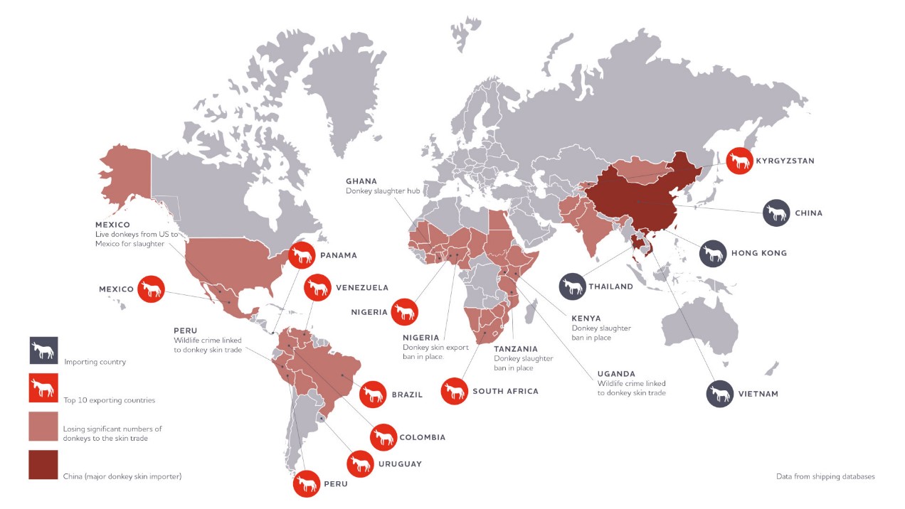 Bản đồ các nước nhập khẩu da lừa và top 10 nước xuất khẩu da lừa. Dữ liệu được lấy từ cơ sở dữ liệu của đơn vị vận chuyển.