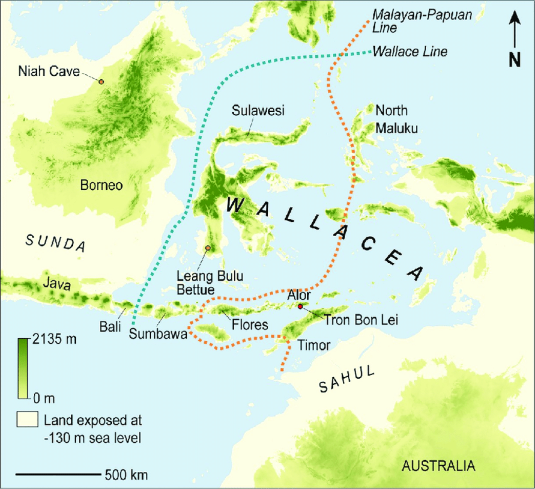 Vùng đảo Wallacea được đặt theo tên ông.