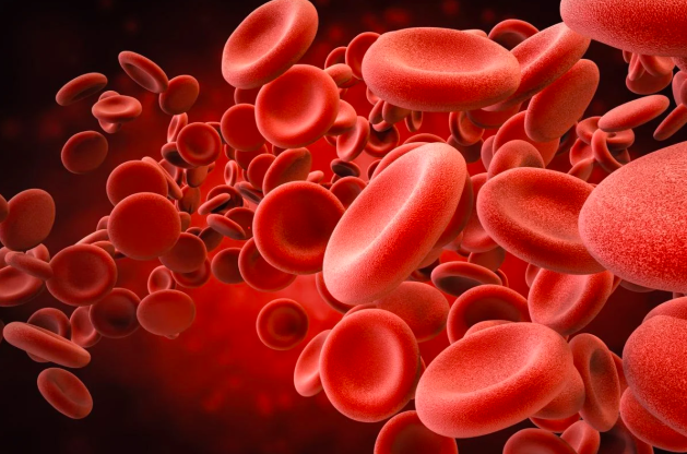 Nhóm máu A nhiều khả năng sẽ bị đột quỵ trước tuổi 60 so với những người thuộc nhóm máu khác