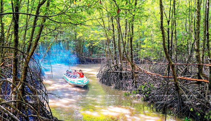 Đất Mũi thuộc huyện Năm Căn, tỉnh Cà Mau - nơi có rừng ngập mặn lớn thứ 2 thế giới. Nguồn: Báo ảnh Việt Nam