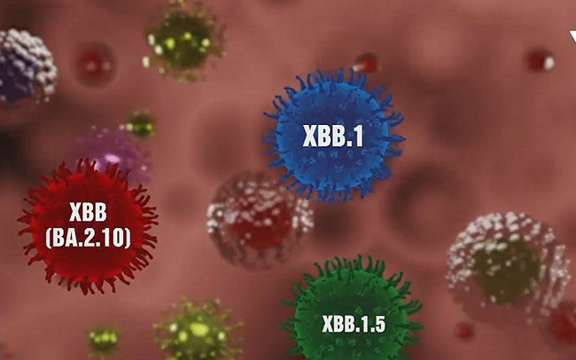 XBB.1.5 đang là chủng gây gia tăng ca bệnh