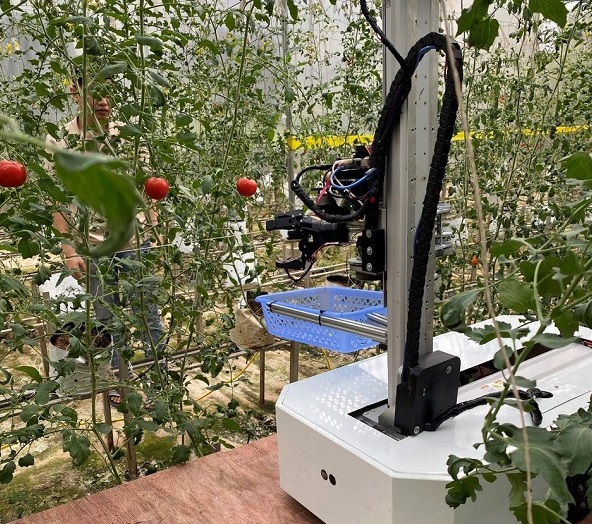Robot thu hoạch trái cây được thử nghiệm thành công tại Công ty Hachi, Đông Anh. Ảnh: VNU