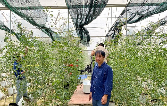 PGS.TS Phạm Mạnh Thắng tại vườn thực nghiệm robot thu hoạch trái câu. Ảnh: VNU