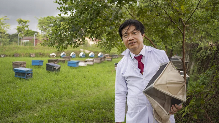 PGS. TS. Phạm Hồng Thái, giám đốc Trung tâm Nghiên cứu ong và nuôi ong nhiệt đới. Ảnh: Mai Nguyên Anh/WB