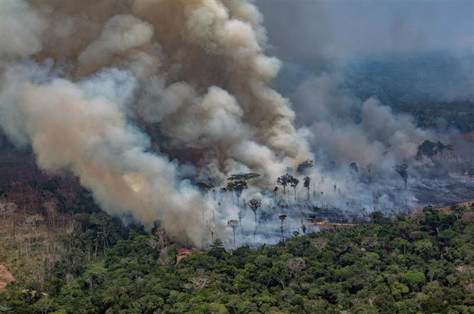 Khói cháy rừng tăng nguy cơ sinh non