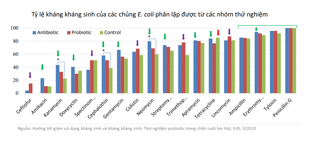 Tỷ lệ kháng kháng sinh của các nhóm lợn sử dụng thức ăn chăn nuôi khác nhau.  Ảnh: ILRI