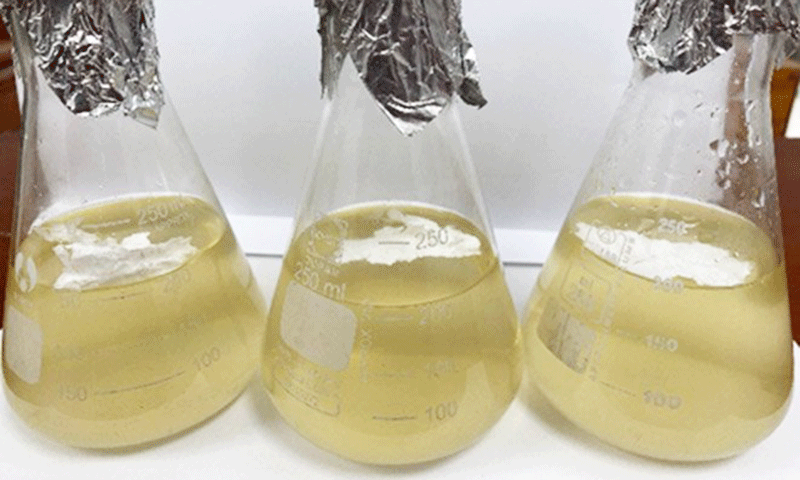 Thử nghiệm phân hủy PHB trong môi trường dịch nuôi bacillus sp