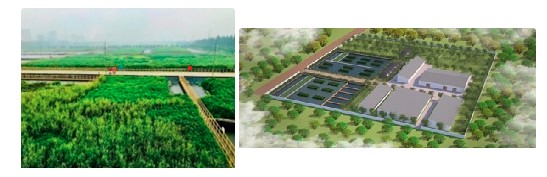 Một số mô hình xử lý nước thải sử dụng bãi lọc trồng cây nhân tạo của nhóm nghiên cứu thực hiện. Nguồn: Viện hàn lâm khoa học và công nghệ Việt Nam.