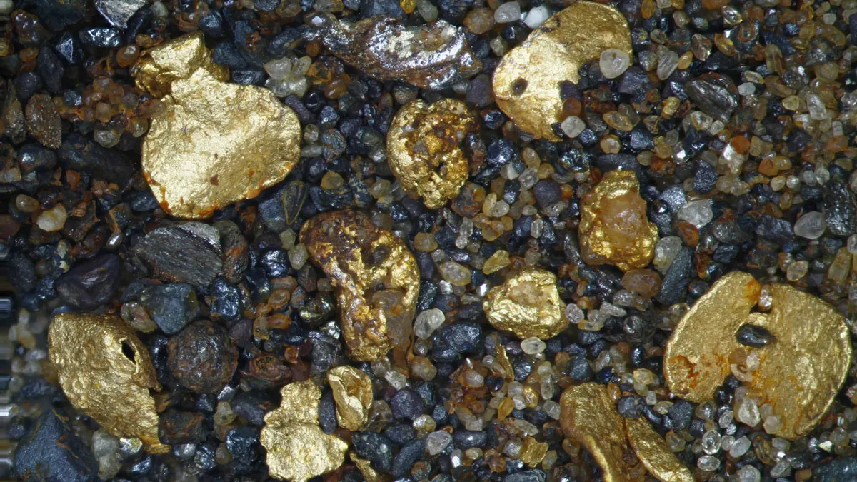 Các vảy vàng ở sông Waikaia tại Southland, New Zealand. Lượng vàng được đưa đến khu vực này từ hàng triệu năm trước qua một dòng sông không còn tồn tại. Ảnh: Dave Craw