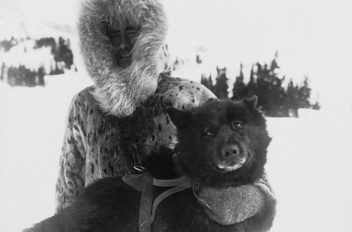 Balto, một chú chó anh hùng trong thế kỷ 20, cùng người điều khiển là Gunnar Kaasen. Ảnh: AP 