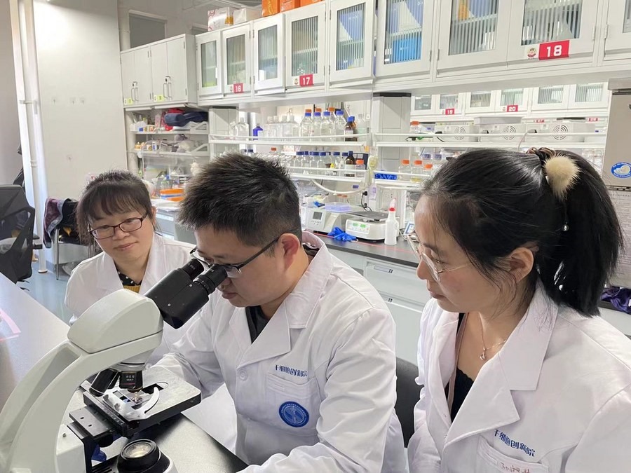 Các nhà khoa học Viện Nghiên cứu Gene Bắc Kinh thực hiện thí nghiệm làm chậm quá trình lão hóa. Ảnh: Xinhua