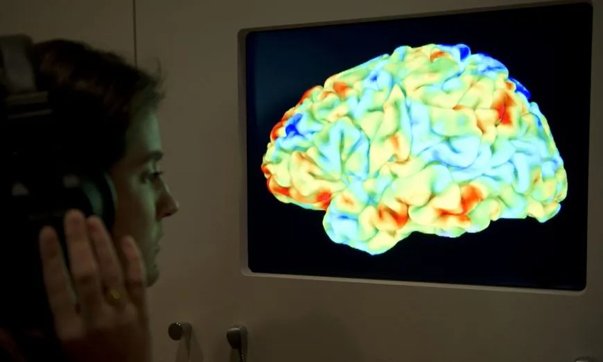 Một người phụ nữ quan sát một phim chụp cộng hưởng từ chức năng (fMRI). Phim chụp cho thấy tác động của tác phẩm Rite of Spring của Stravinsky và 3rd Critique của Kant đối với bộ não trong cuộc triển lãm của Wellcome Collection "Brains: mind of matter” (Tạm dịch: Bộ não: tâm trí của vật chất) được tổ chức tại London, 27/03/2012. Ảnh: Miguel Medina/AFP/Getty Images