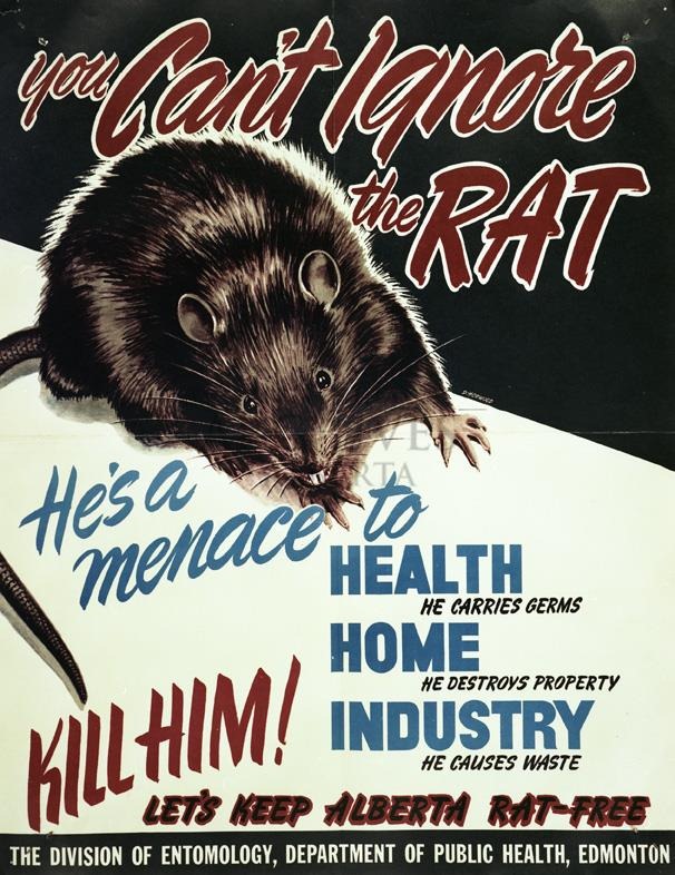 Poster kêu gọi người dân tham gia diệt chuột của Bộ Y tế Alberta.