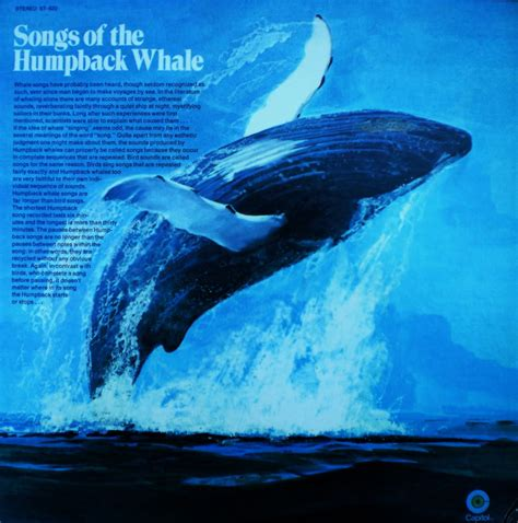 Bìa album Songs of the Humpback Whale.