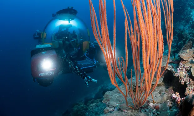 Các nhà khoa học sử dụng dụng cụ lặn đặc biệt để khảo sát các rạn san hô sâu hơn 150m dưới mặt biển, trong vùng mesophotic hay còn gọi là vùng chạng vạng. Ảnh: Henley Spiers