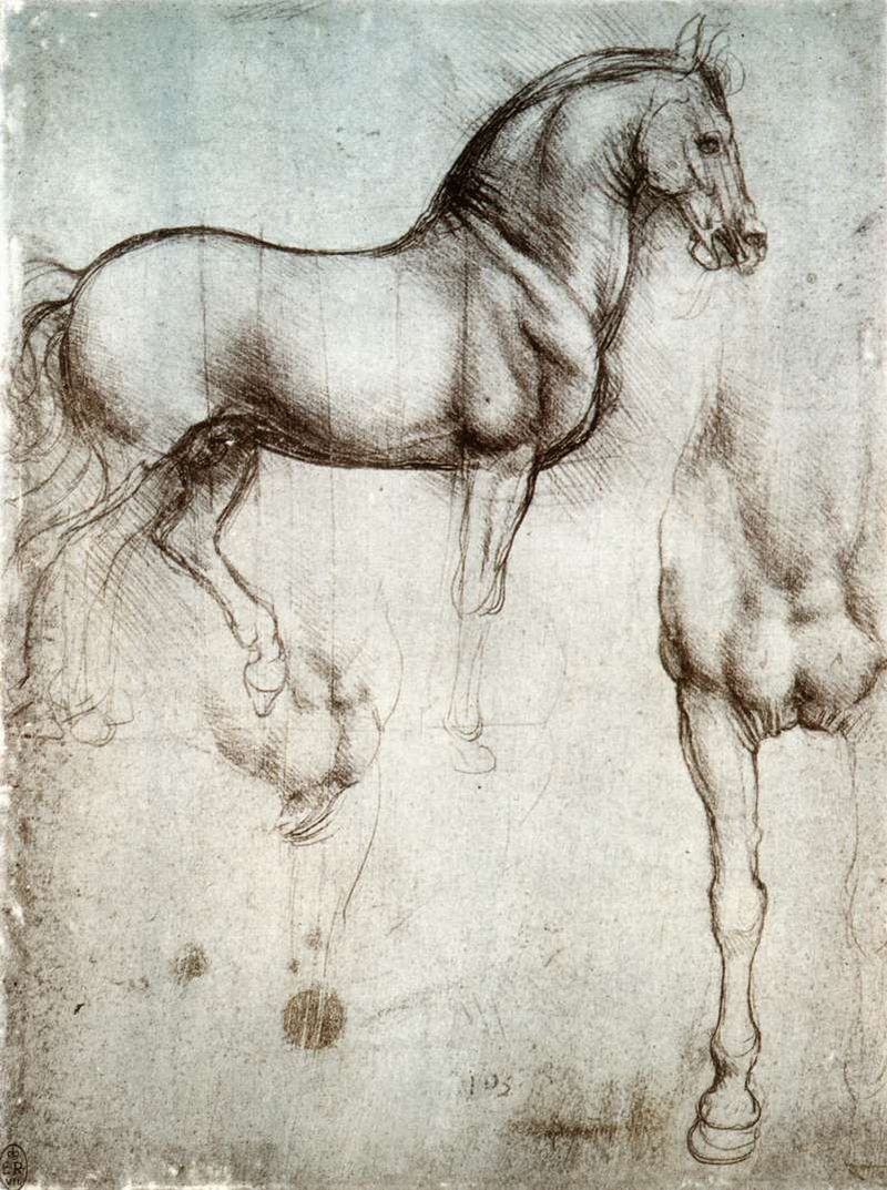 Bức vẽ về một con ngựa của Leonardo da Vinci. Ảnh: Wikipedia