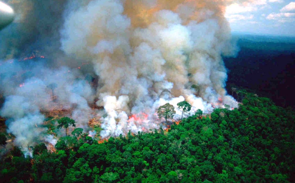 Cháy rừng Amazon làm trầm trọng thêm tình trạng biến đổi khí hậu. 
