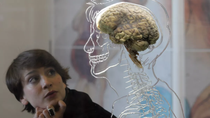 Não người được trưng bày trong triển lãm. Ảnh: Matt Cardy