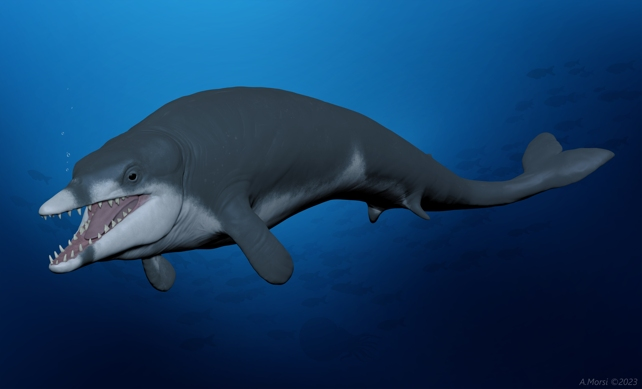 Hình ảnh dựng lại loài cá voi họ basilosaudae đã tyệt chủng là Tutcetus rayanensis đang bơi trong Đại dương Tethus 41 triệu năm trước, nơi hiện giờ là Ai Cập. Ảnh: Ahmed Morsi và Hesham Sallam