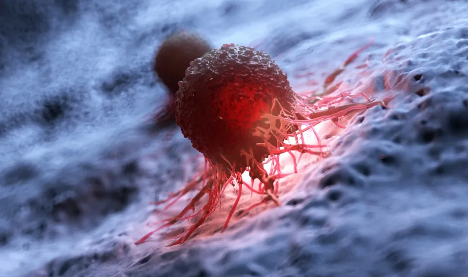 Vi khuẩn biến đổi gene trong tương lai có thể trở thành công cụ phát hiện ung thư tiềm năng. Nguồn: Shutterstock