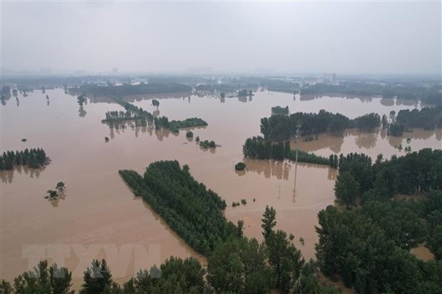 Lũ lụt do mưa lớn phá hủy mùa màng ở thành phố Bảo Định, tỉnh Hà Bắc, Trung Quốc ngày 2/8/2023. (Ảnh: AFP/TTXVN)