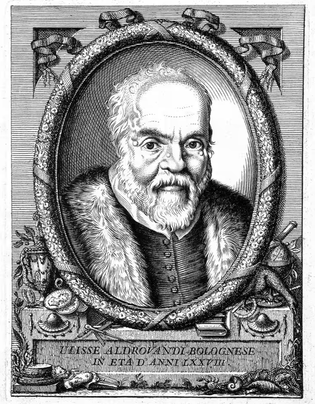 Nhà tự nhiên học người Ý Ulisse Aldrovandi. Ảnh: Archivio Gbb/Alamy