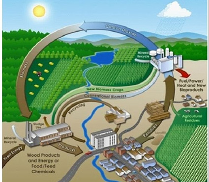 Minh họa một khu “nông trại tảo” trong tương lai. Nguồn: REFAB