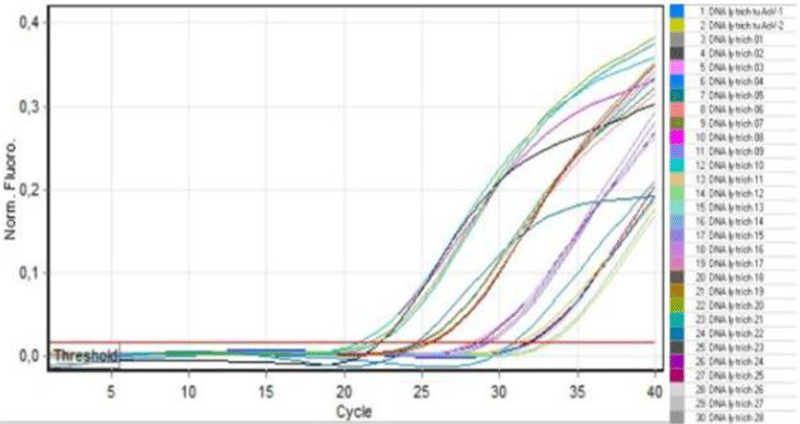 Kết quả đánh giá quy trình real-time PCR trên các mẫu tôm thực tế