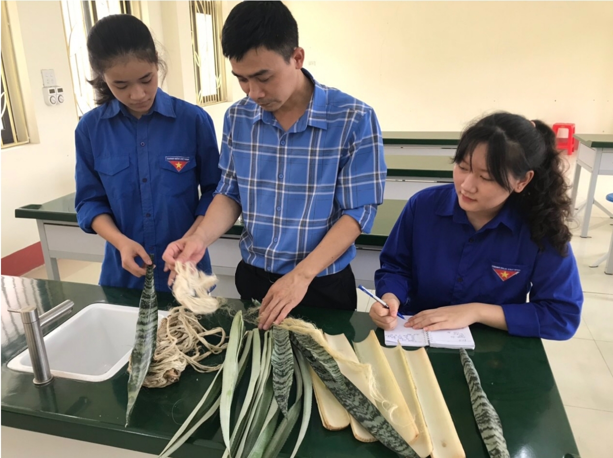 Nhóm học sinh Trường THPT Chu Văn An, huyện Văn Yên, tỉnh Yên Bái, nghiên cứu phương pháp tách sợi từ một số cây lấy sợi trên địa bàn để tạo sợi hữu. Nguồn: vusta.vn