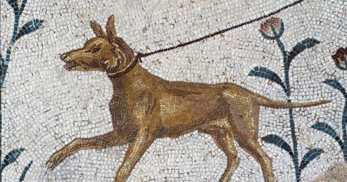 Bức tranh khảm về một con chó trên đường phố ở La Mã cổ đại. Ảnh: Giannimarchetti