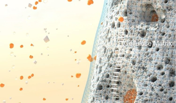 Với cấu trúc giãn nở như miếng bọt biển, vật liệu của BioLumen có thể thu giữ đường trong thực phẩm, ngăn chặn cơ thể hấp thụ đường. Nguồn: foodnavigator-usa.com
