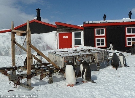 Bưu điện trên đảo Goudier vốn được biết đến với tên bưu điện Chim cánh cụt bởi trên hòn đảo này có tới 2.000 chim cánh cụt sinh sống.