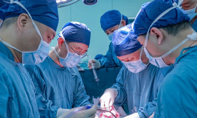 Các nhà khoa học Trung Quốc tiến hành ca ghép gan lợn cho bệnh nhân. Ảnh: Globaltimes.