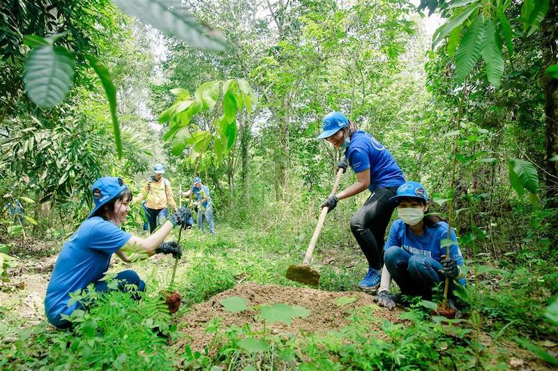 Hoạt động trồng rừng của Trung tâm Bảo tồn Thiên nhiên Gaia. Ảnh: Gaiavn