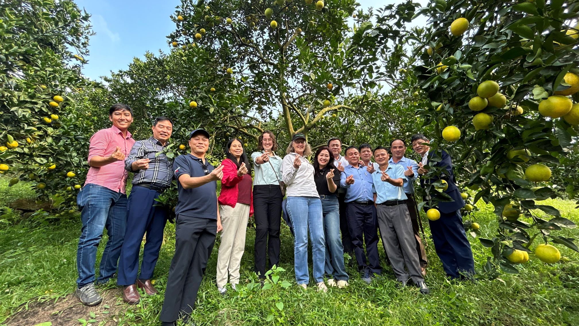 Các nhà nghiên cứu đến thăm trang trại cam ở Hòa Bình, Việt Nam trong hoạt động khảo sát. Ảnh: ACIAR.