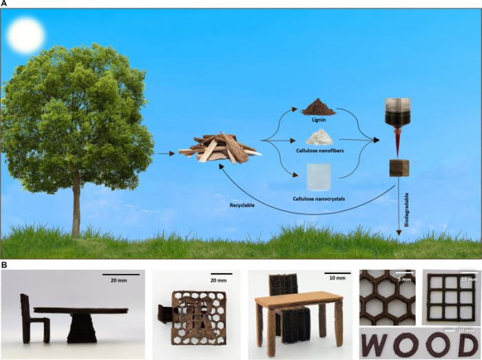 Quá trình biến phế liệu gỗ thành mực in 3D. Nguồn: Science Advances 