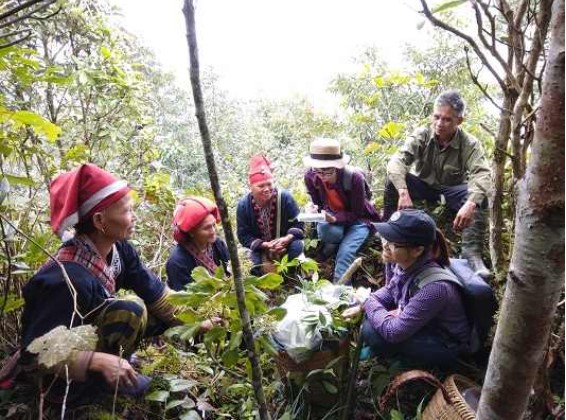 Nhóm nghiên cứu của TS Trần Văn Ơn cùng người Dao đỏ ở Sapa đi điều tra tái sinh cây thuốc tắm. Nguồn: daospamama.net