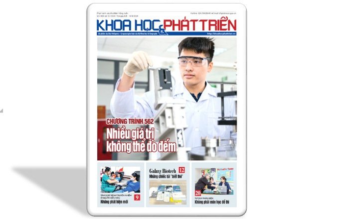KHPT số 1304
