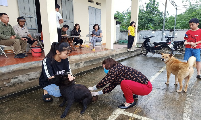 Định kỳ hàng năm, chính quyền địa phương có các đợt tiêm phòng vaccine dại tập trung cho chó, mèo trong khu vực. Trong ảnh, Cán bộ thú y cơ sở tiêm phòng dại chó ở nhà văn hóa xóm Bầu 2 xã Phấn Mễ, tỉnh Thái Nguyên. Ảnh: 